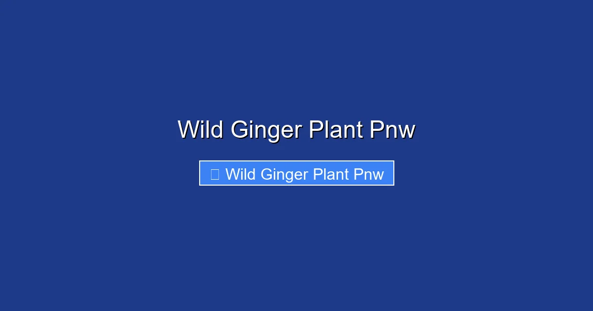 Wild Ginger Plant Pnw