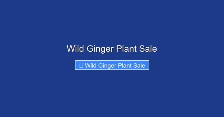 Wild Ginger Plant Sale