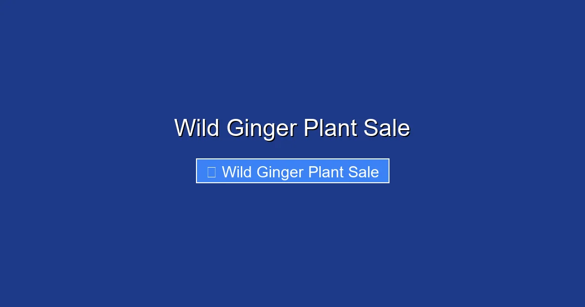 Wild Ginger Plant Sale
