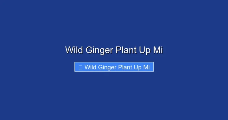 Wild Ginger Plant Up Mi