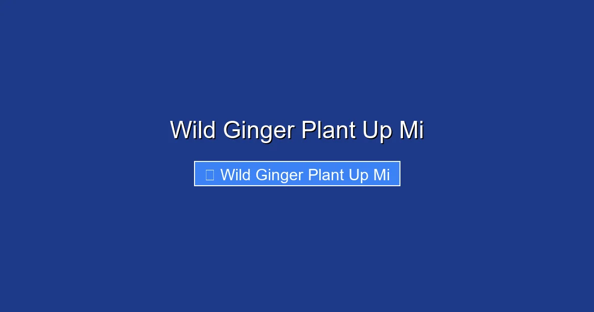 Wild Ginger Plant Up Mi