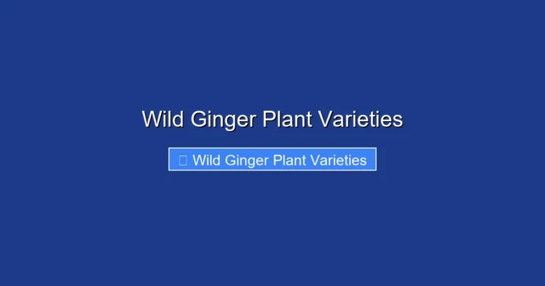 Wild Ginger Plant Varieties