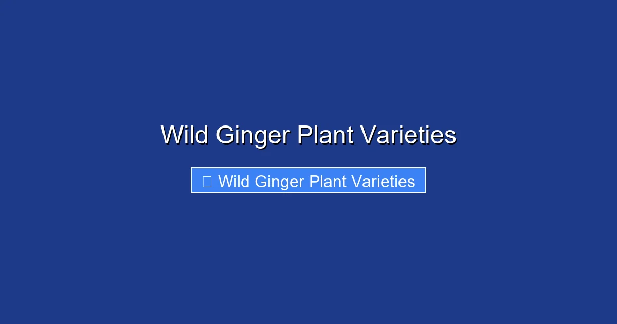 Wild Ginger Plant Varieties