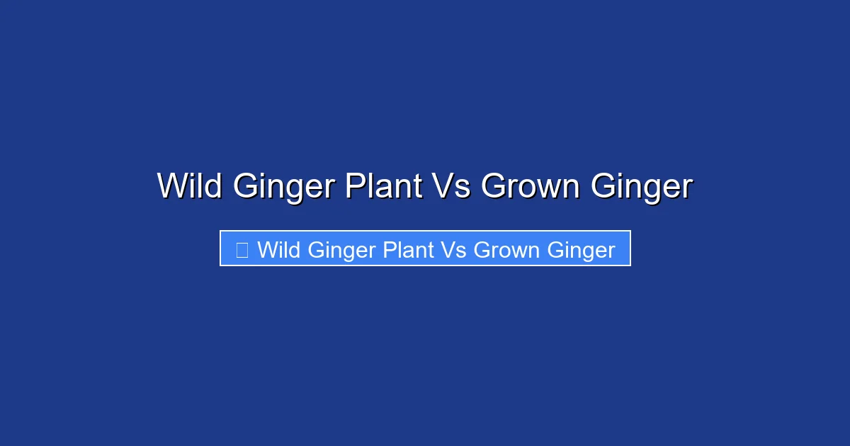 Wild Ginger Plant Vs Grown Ginger
