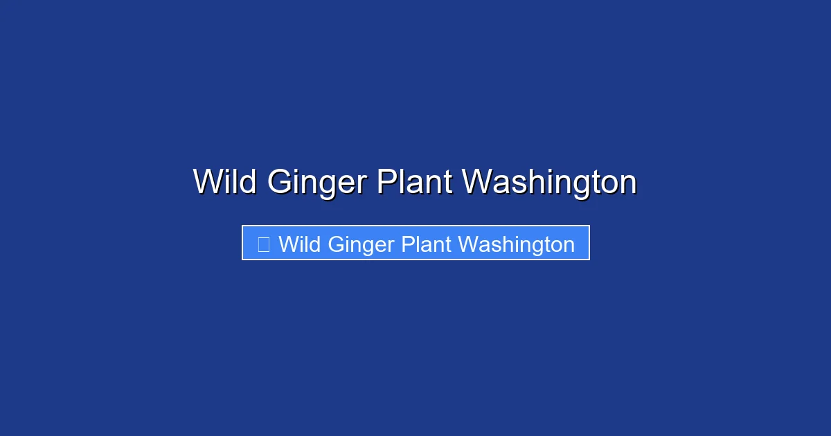 Wild Ginger Plant Washington