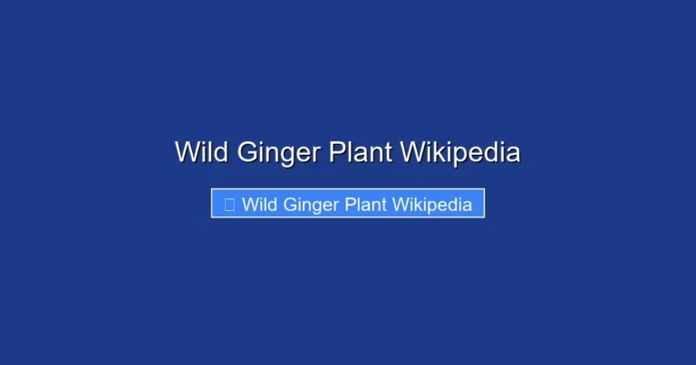 Wild Ginger Plant Wikipedia