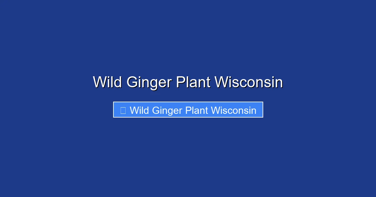 Wild Ginger Plant Wisconsin