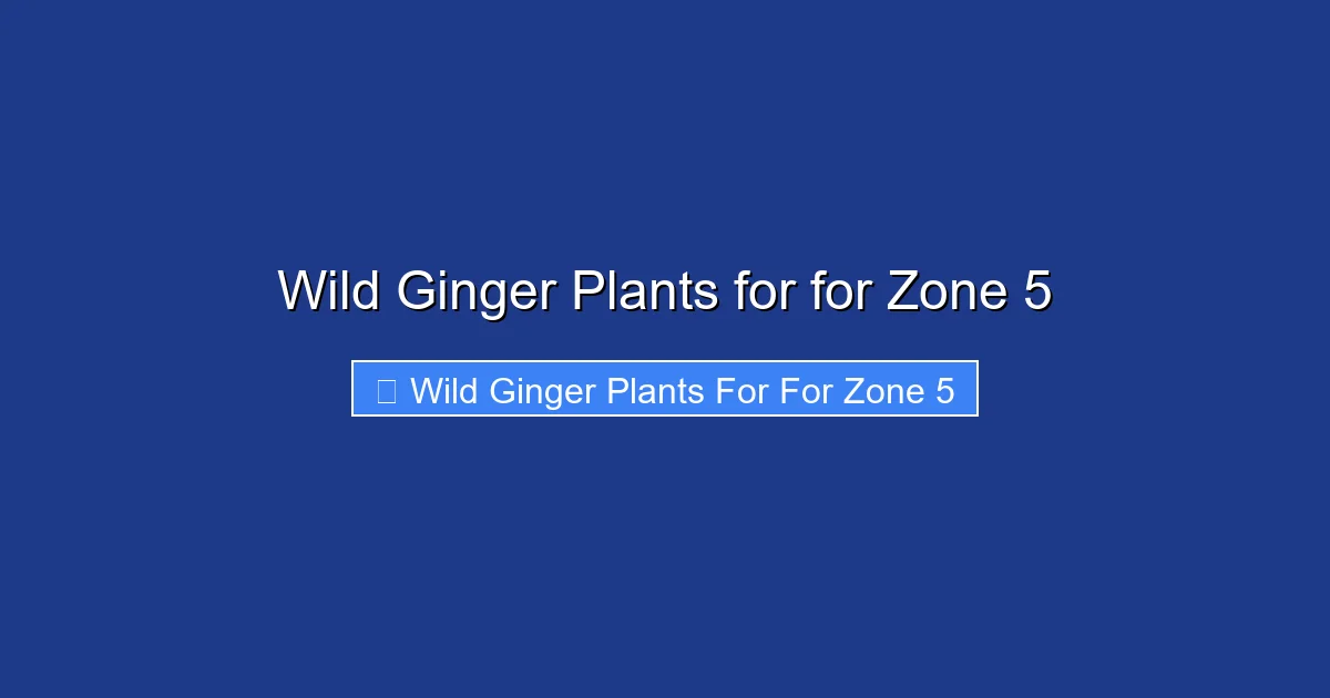 Wild Ginger Plants for for Zone 5