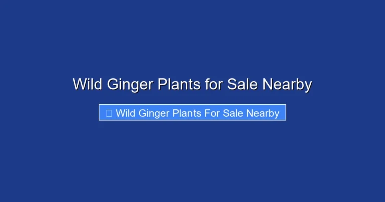 Wild Ginger Plants for Sale Nearby