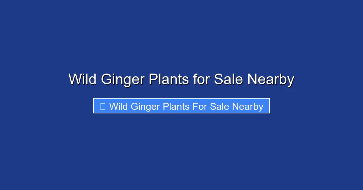 Wild Ginger Plants for Sale Nearby