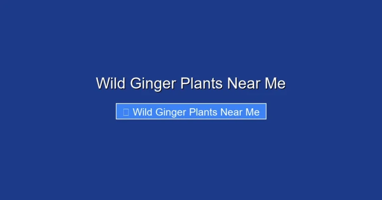 Wild Ginger Plants Near Me