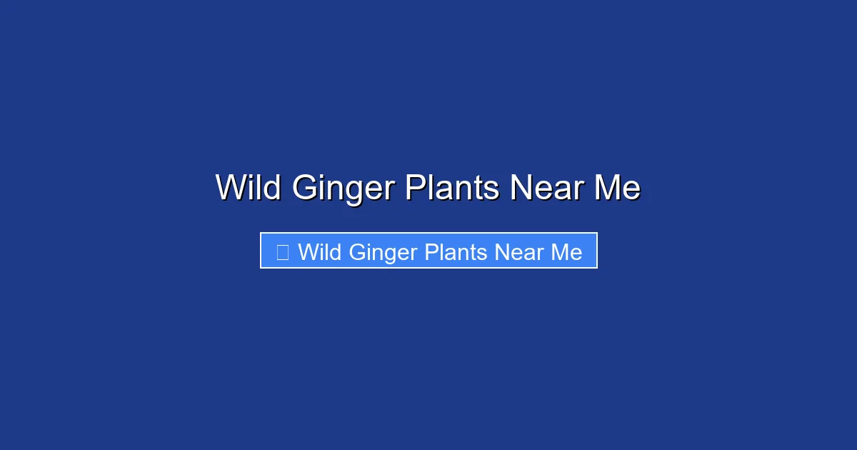 Wild Ginger Plants Near Me