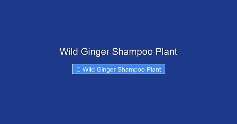 Wild Ginger Shampoo Plant