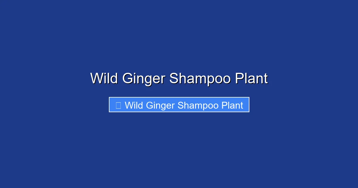 Wild Ginger Shampoo Plant