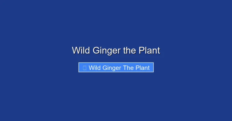 Wild Ginger the Plant