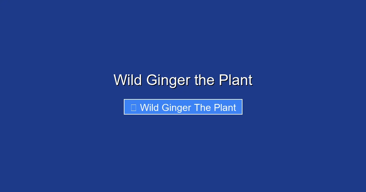 Wild Ginger the Plant