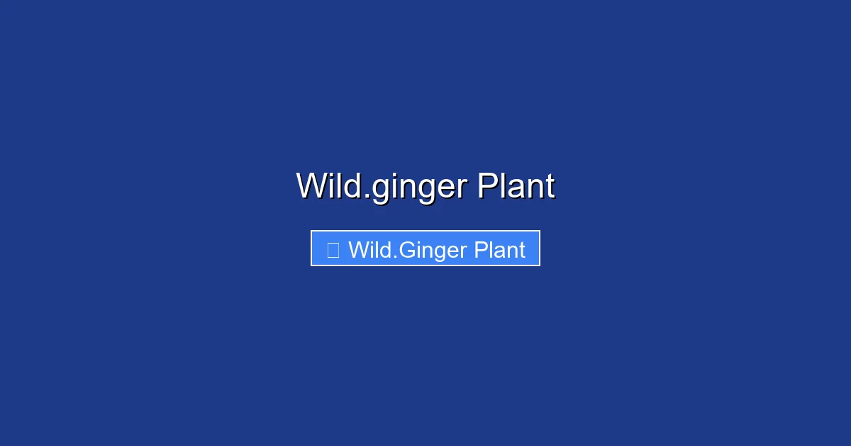 Wild.ginger Plant