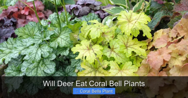 Will Deer Eat Coral Bell Plants