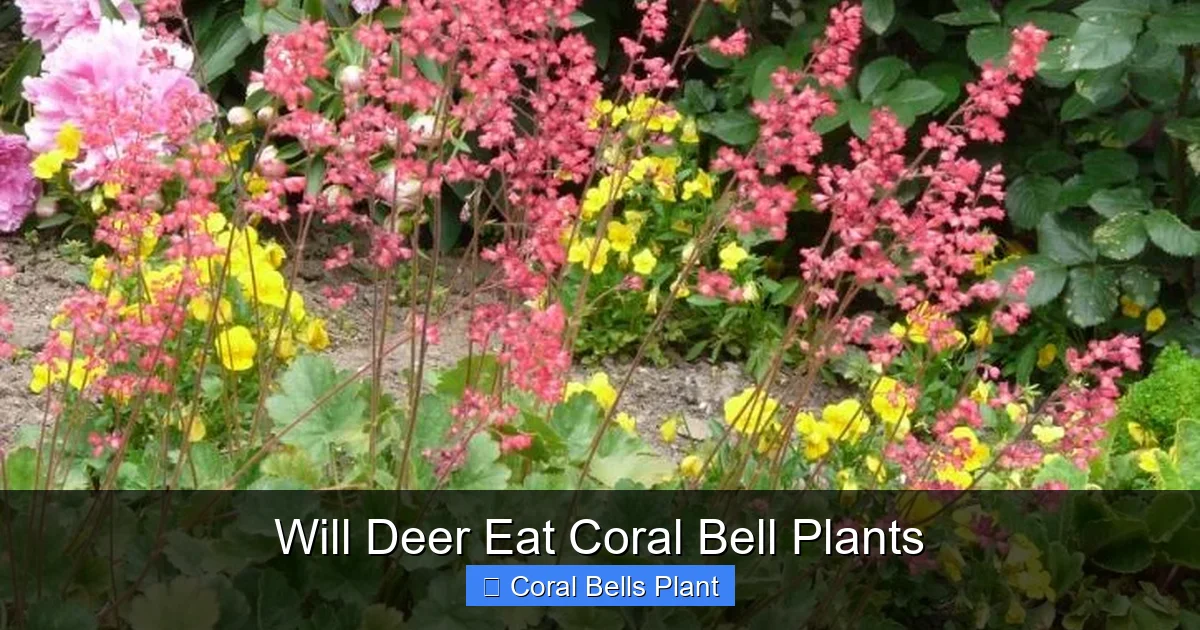 Will Deer Eat Coral Bell Plants