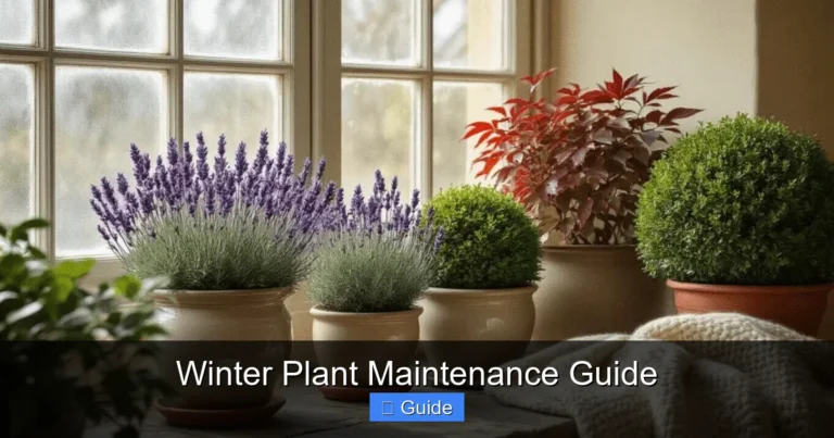 Winter Plant Maintenance Guide